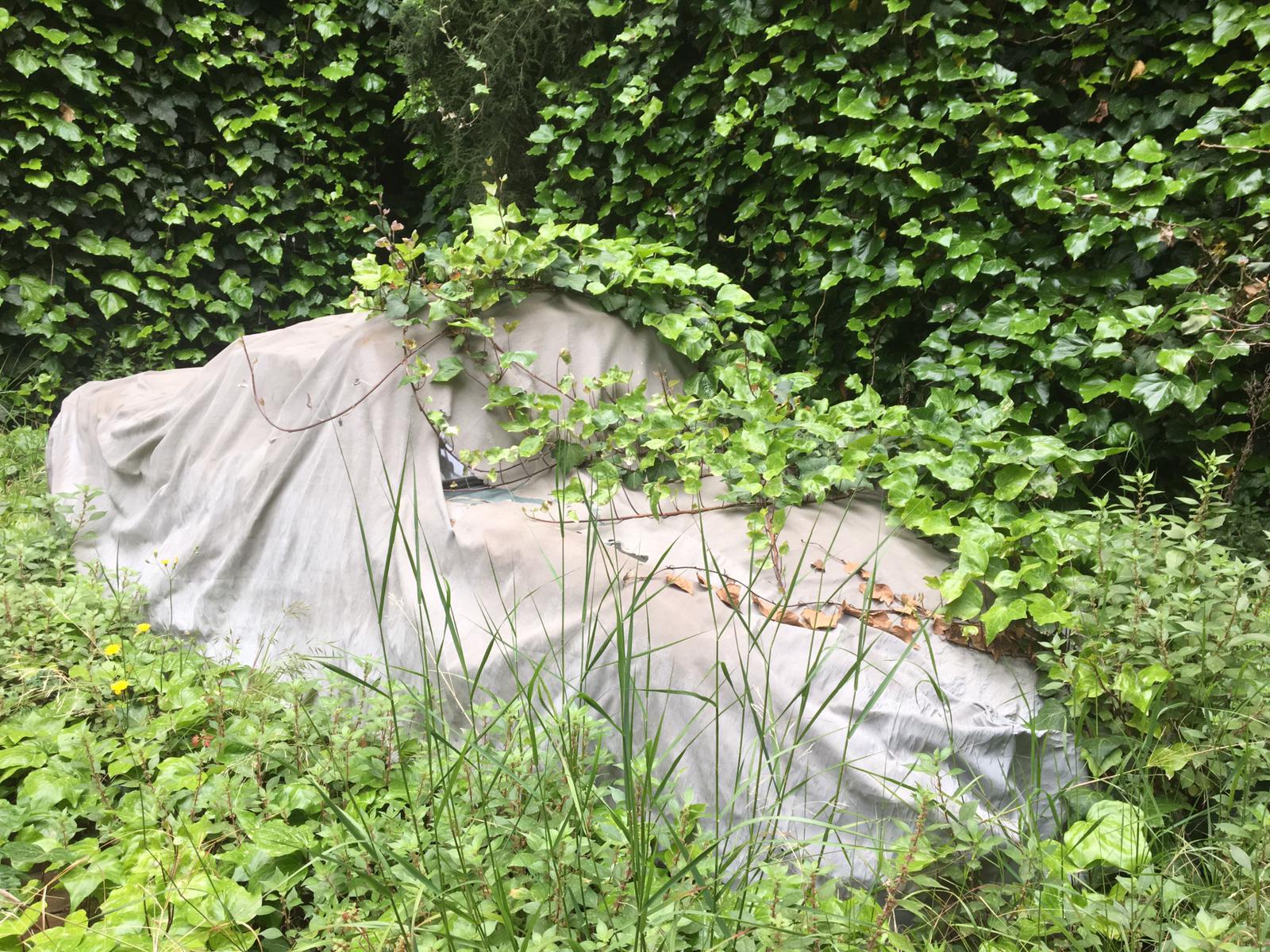 PHOTO-2019-05-08-11-38-33 (1)