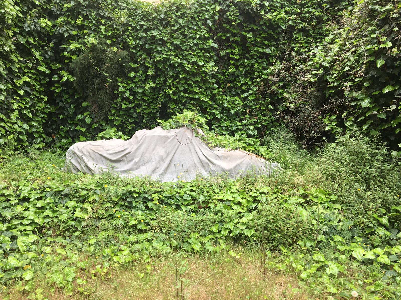 PHOTO-2019-05-08-11-38-33