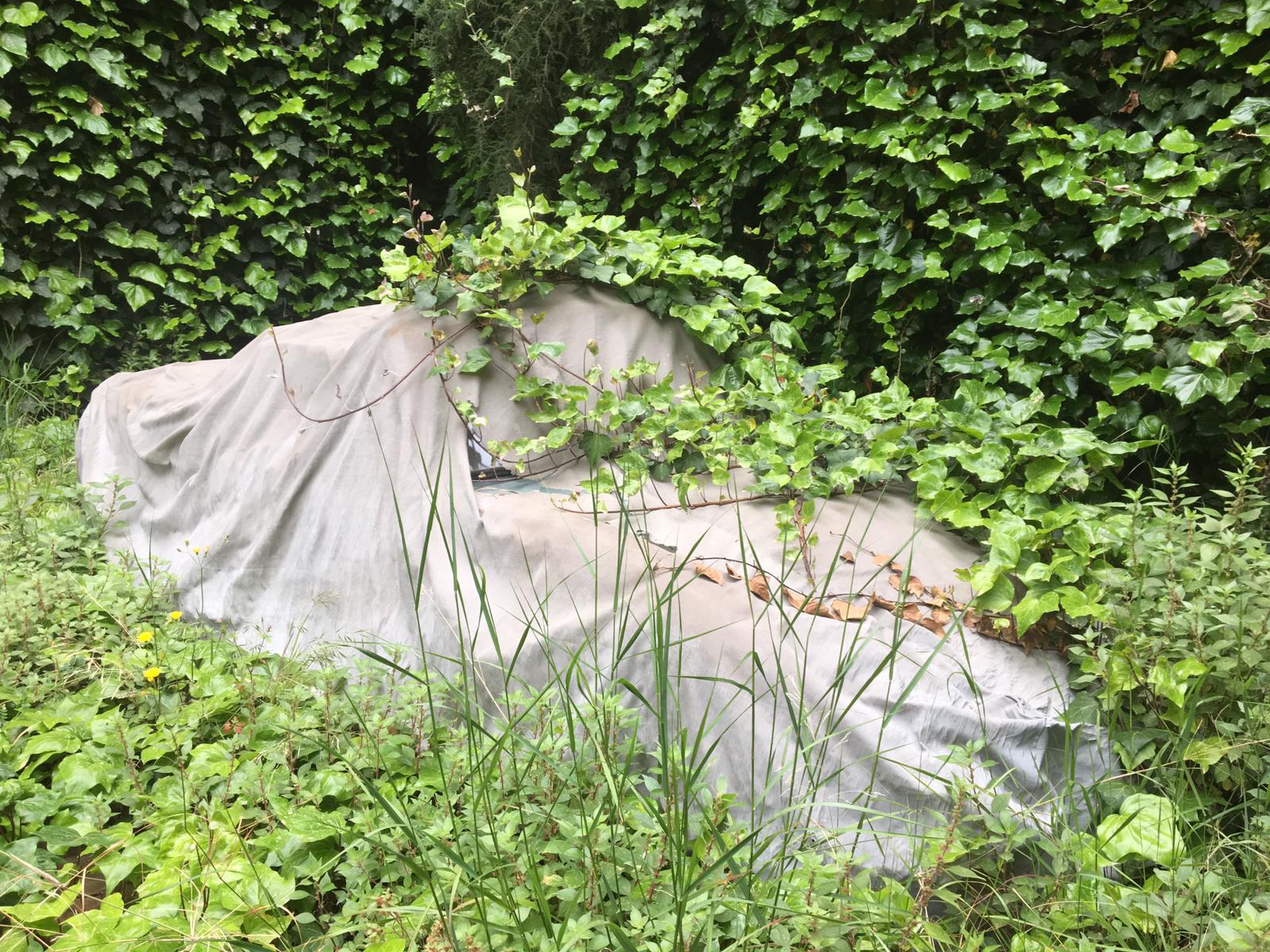 PHOTO-2019-05-08-11-38-34